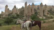 4 Hours HorseBack Riding Cappadocia