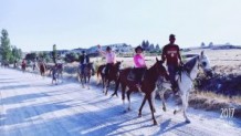 Daily Tours HorseBack Riding Cappadocia