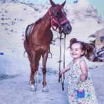 cappadociahorselovemasal