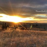 horseridingcappadocia