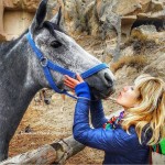 museumranchcappadociahorse