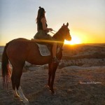 redvalleymuseumranch