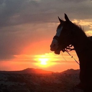cappadocia-horseback-riding-fullmoon-tours